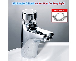 Vòi Lavabo chỉ lạnh có Nút Bấm Tự động ngắt LOẠI XỊN HÀNG CAO CẤP bóng đẹp + 1 Dây Cấp nước